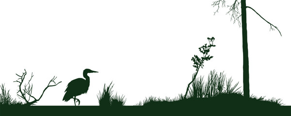 Isolated swamp silhouette. Marsh scene. Black drawing of heron and fen plants. Forest landscape with bird into old pond. Nature horizontal banner. Bog art template