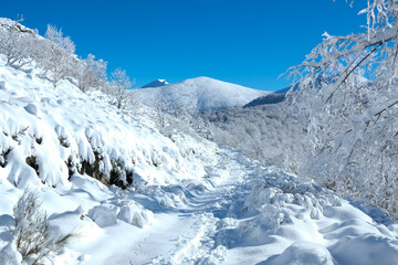 panoramic of the approach route to Tres Bispos peak in the Os Ancares mountain range, Lugo