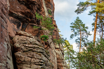 Red Rock Wall next to Hiking Trail in Rockland of Dahn, Rhineland-Palatinate, Germany, Europe
