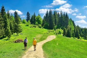 Tuinposter Weide Two hikers on a path through the green meadow field among trees in summer sunny day, Gorce mountains, Poland