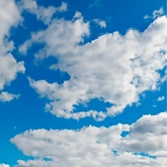 Obraz premium 하늘 배경