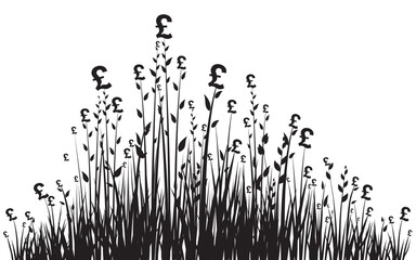 Financial Growth. Fresh grass and pounds isolated on White background. Vector illustration 
