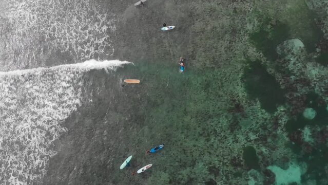 Aerial view of people paddling on surfboard in calm sea, Siargao, Philippines