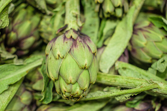 Image of artichokes stocked in market for consumption.