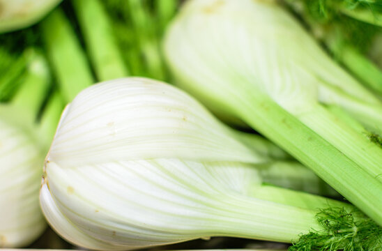 Image of fennel stocked in market for consumption.