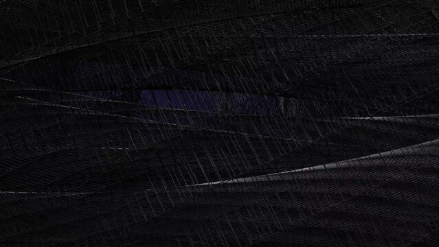 Futuristische Netzstruktur mit dynamischer Linienf&uuml;hrung in moderner &Auml;sthetik, Technologie- und Kreativprojekte in der digitalen Welt, 3D-Illustration, Wissenschaft, Forschung, Konstruktion, schwarz