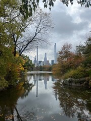 Fototapeta premium autumn in the park