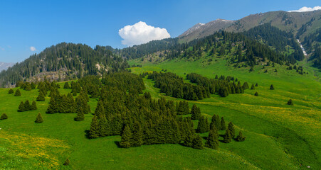 Kok-Zhailau is a tract on the territory of the Ile-Alatau State National Natural Park, located from east to west between the Small and Big Almaty gorges, 10 km from the city of Almaty in Kazakhstan.