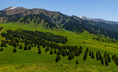 Kok-Zhailau is a tract on the territory of the Ile-Alatau State National Natural Park, located from...