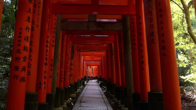 torii gate path in Fushimi Inari Shrine, vermillion Torii gates. Kyoto, Japan. Tourism and travel in Japan, shinto prayers are written on the gates
