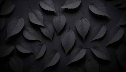Black leaf wallpaper, dark background