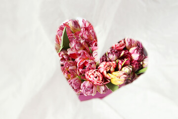 Obraz na płótnie Canvas A heart of pink tulips on a light paper background.