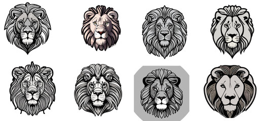 Set of lion head 