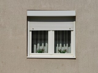 Symmetrical elegance. White blinds, window curtains and flower pots. Light and shadow. Pattern and texture. Wall background.