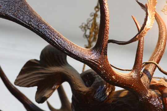antlers on a wooden fence