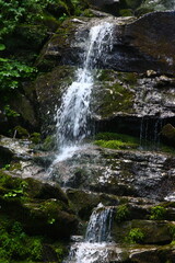 waterfall in the forest