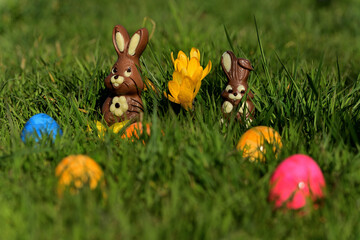 Schokoladen Osterhasen sitzen im grünen Gras, umgeben von bunten Ostereier und blühenden...