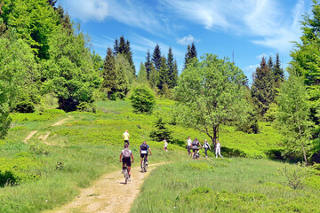 Fototapeta na wymiar Group of tourists are riding on bicycles and walking on a path through the green meadow field among trees in summer sunny day, Gorce mountains, Poland