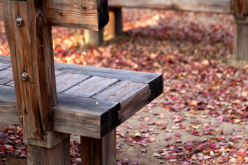 empty benches with the fallen leaves on the ground in the park