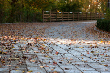 View of the curved footpath with the fallen leaves in autumn