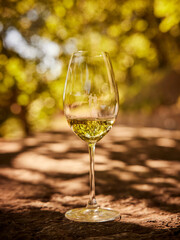 Wein
