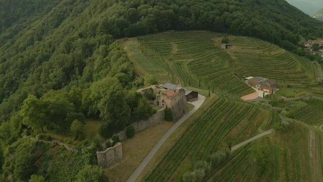 Aerial view of castle (Castello di Morcote) in Morcote with vineyard and mountain View, Lake Lugano, Switzerland