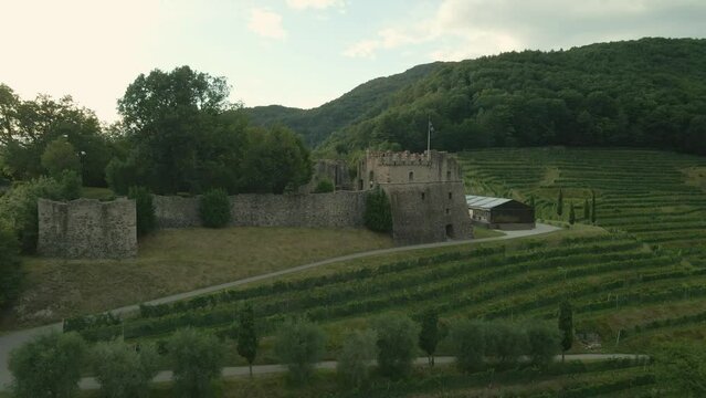 Aerial view of castle (Castello di Morcote) in Morcote with vineyard and mountain View, Lake Lugano, Switzerland