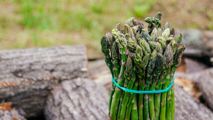 Asparagus. Fresh asparagus. Bunch of green asparagus close-up. 