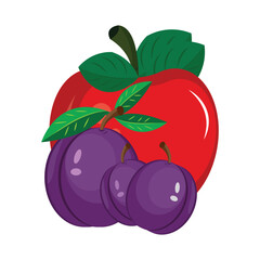 Vector illustration of apple and plum.