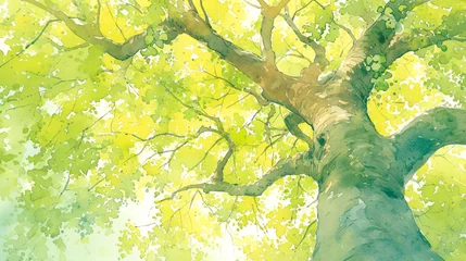 Gordijnen 下から見上げた葉を茂らせた樹幹の水彩イラスト背景 © Hanasaki