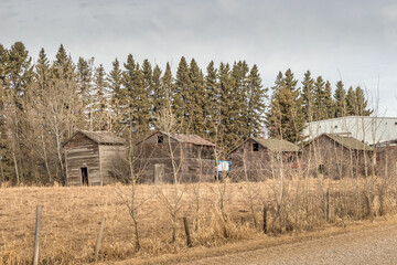 Rustic out buildings dot the countryside Red Deer County Alberta Canada