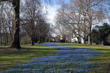 blaues band im stadtgarten