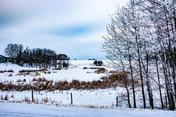 Winter drive through a winter wonderland, Mountain View County, Alberta, Canada