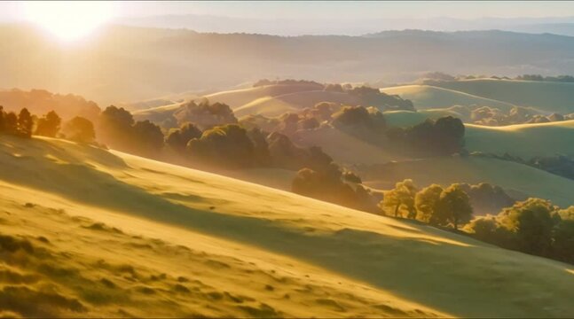 Beautiful evening light with sun rays over hill landscape 
