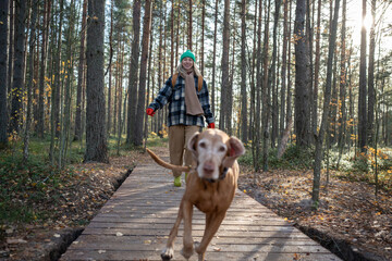 Laughing merry middle-aged woman pet owner running on wooden walkway, trying to catch beloved...