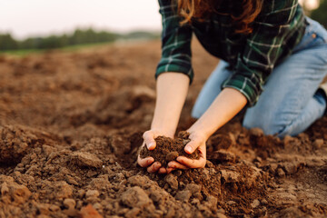 Soil in the hands of a woman farmer. Ecology, agriculture concept.