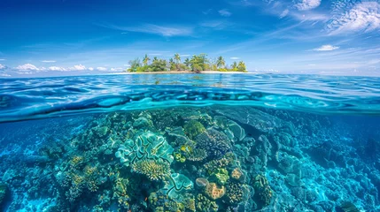 Fototapeten Split view of tropical island and coral reef © Zaleman