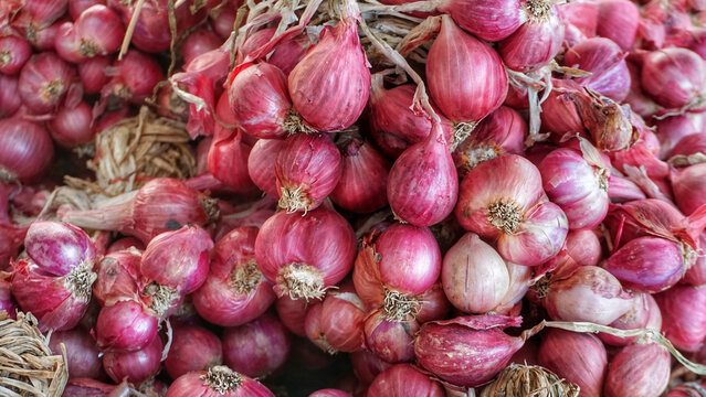 Shallot, Small, Red image