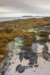 A rocky coast in Isle of Skye, Scotland.