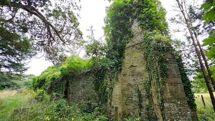 Fototapeta premium Abandoned chapel overgrown with nature