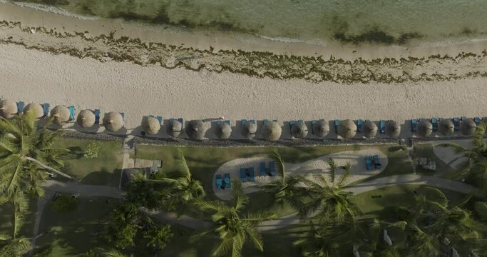 Aerial view of Constance hotel and resort with palm trees on sandy beach, Flacq, Mauritius.