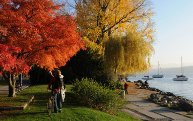 Switzerland: Autum colors at Lake Zürich in Seefeld - obrazy, fototapety, plakaty