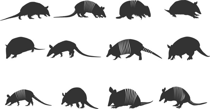Armadillo silhouette, Texas armadillo silhouette, Armadillo silhouette svg, Tribal armadillo silhouette, Armadillo vector illustration.