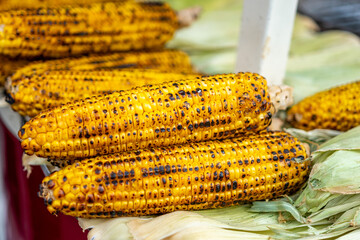 Freshly boiled or grilled sweet corn on the cob sprinkled with salt and spices.