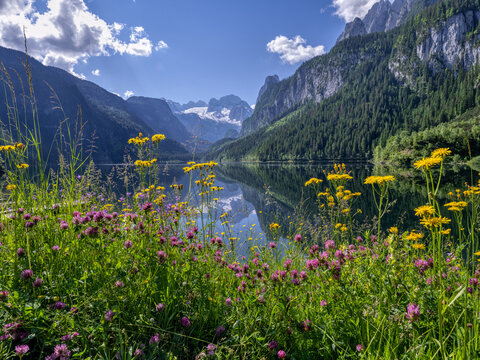 Hoher Dachstein mit Vorderem Gosausee