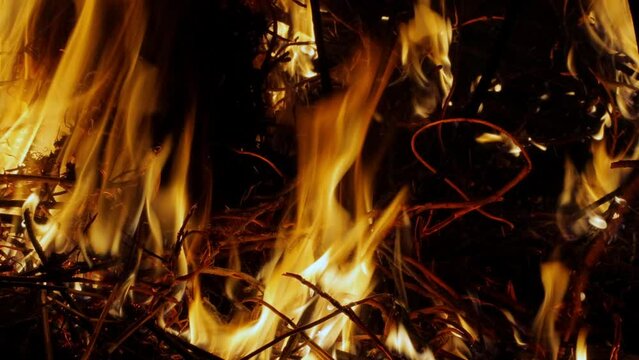 the flame of a burning fire with sparks from a bonfire of twigs and dry grass at night close-up 4K video