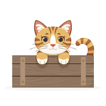 Cat Box Cartoon, Isolated Transparent Background Images
