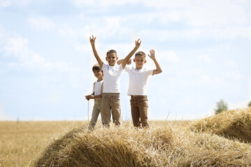 Children stand on a haystack with their hands raised up and laugh and look into the frame