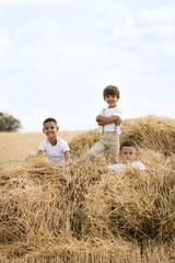 Naklejka na ściany i meble Children lie on a stack of mown hay in a field and laugh