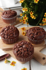 cupcake, cake, brownie, madeleine